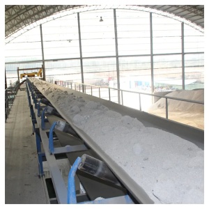 Conveyor System