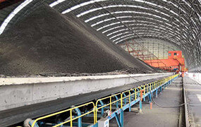 coal conveying system of power plant